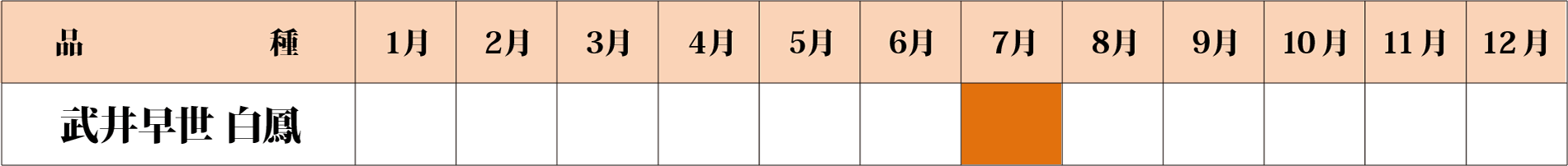 武井早世白鳳カレンダー